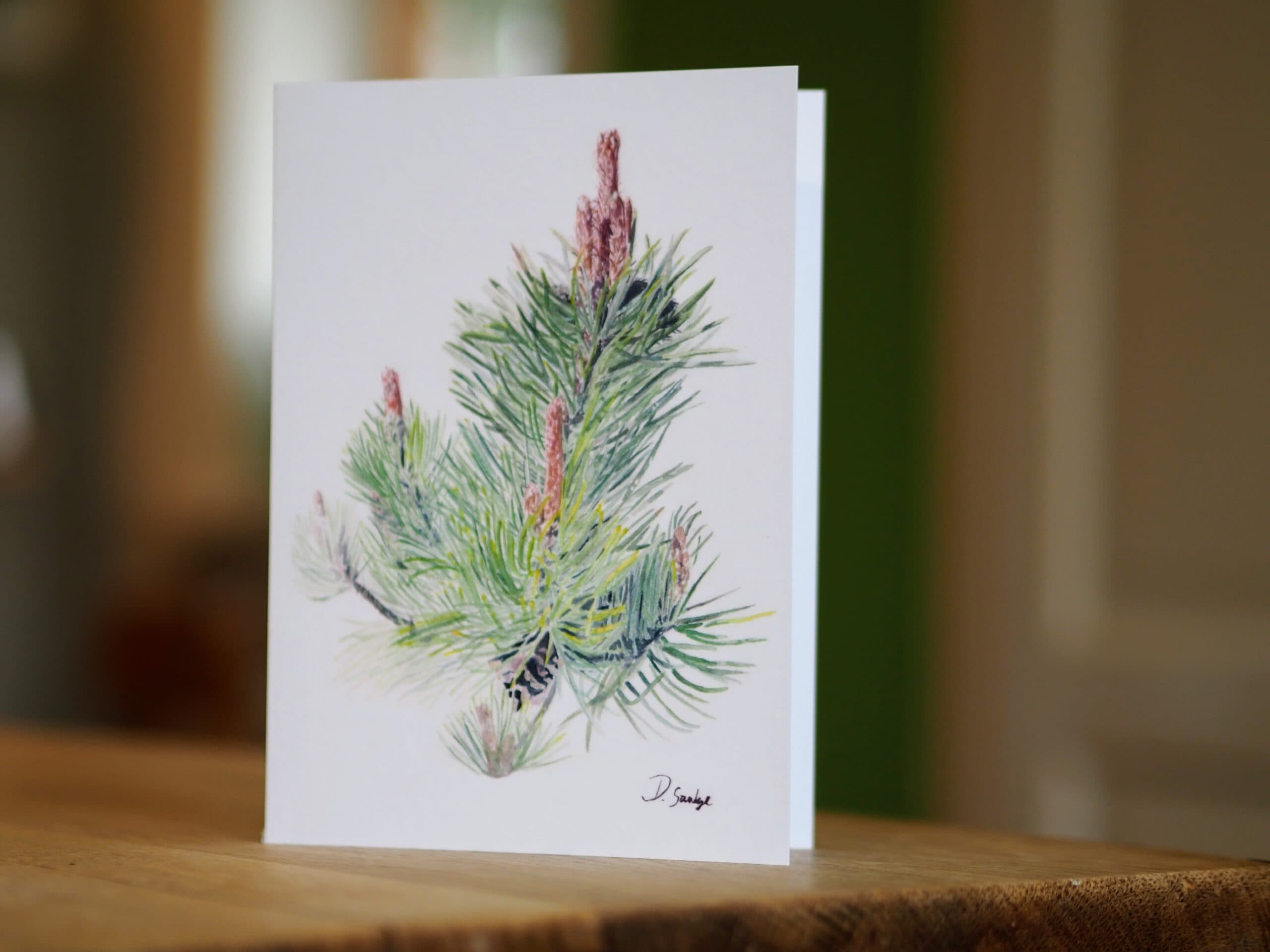 Pine Branch
