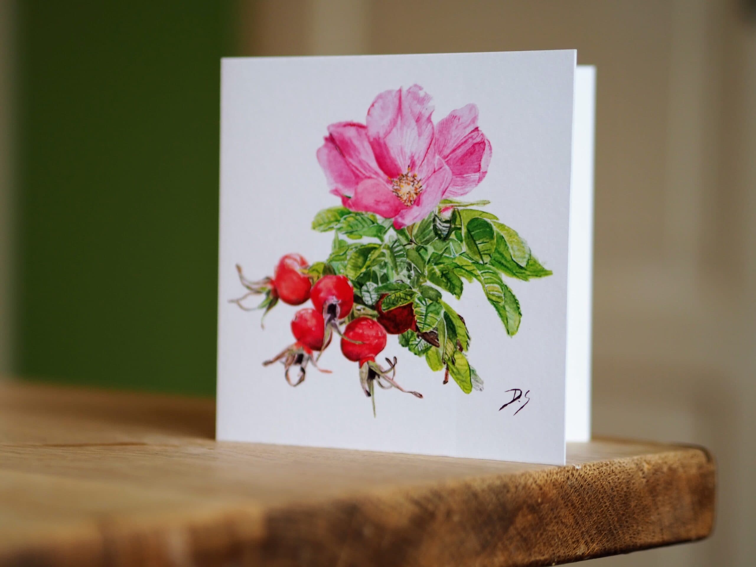 Rugosa Rose