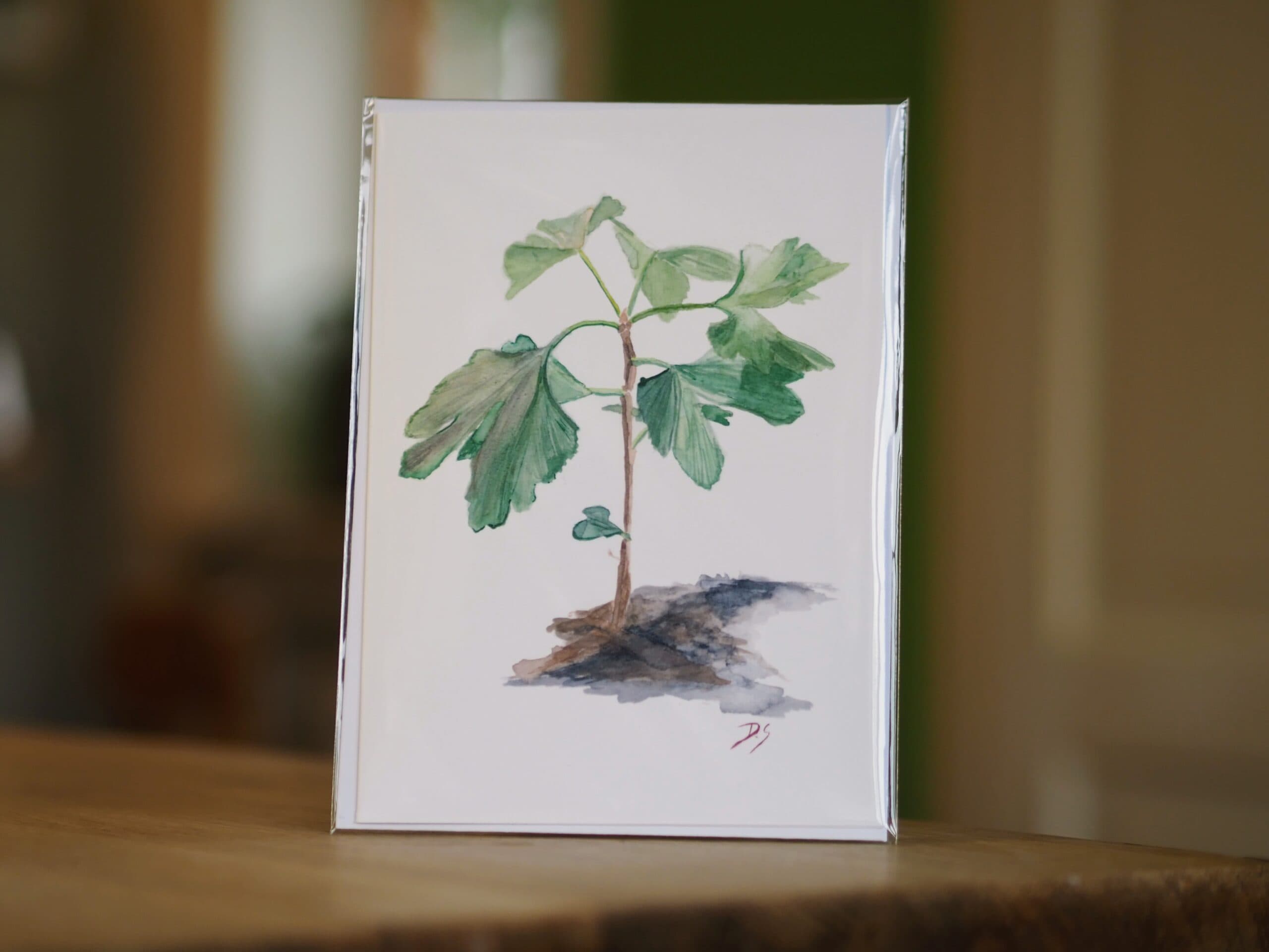 Ginkgo Tree