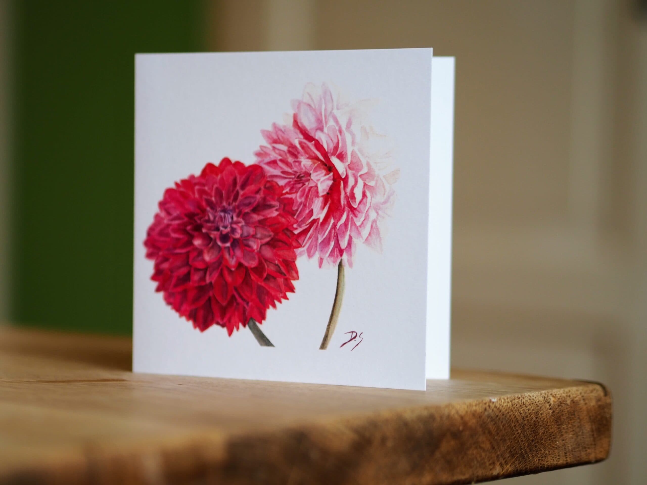 Two Dancing Dahlias